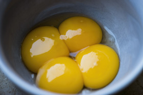 Stock Image: egg yolk in a bowl