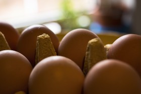 Stock Image: Farm raw fresh egg in pack