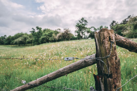 Stock Image: fence at a field