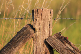 Stock Image: fencing post