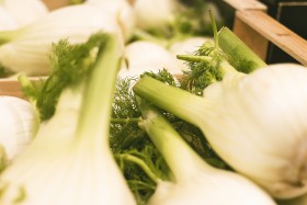 Stock Image: fennel from the market