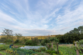 Stock Image: Field work or gardening