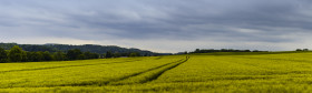 Stock Image: fields rural landscape in germany, nrw