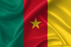Stock Image: flag of cameroon