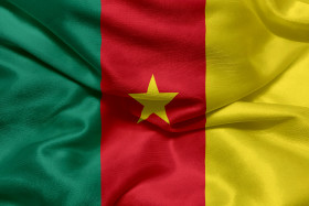 Stock Image: Flag of Cameroon