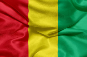 Stock Image: Flag of Guinea