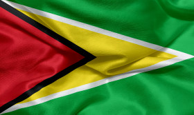 Stock Image: Flag of Guyana