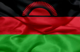 Stock Image: Flag of Malawi