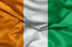 Stock Image: Flag of the Ivory Coast