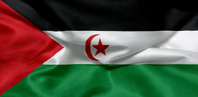 Stock Image: Flag of the Sahrawi Arab Democratic Republic