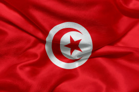 Stock Image: Flag of Tunisia