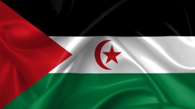 Stock Image: flag of western sahara