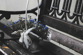 Stock Image: flower basket on park bench