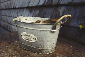 Stock Image: flowers and garden tin bowl