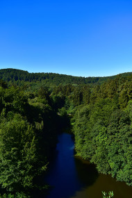 Stock Image: forest lake