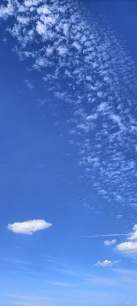 Stock Image: Free Vertical blue Sky for Skyreplacement
