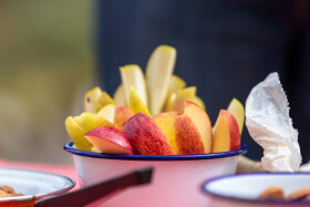 Stock Image: Fresh and Juicy: Sliced Apple Pieces in a Tempting Bowl