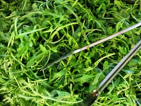 Stock Image: Fresh Arugula Salad