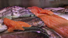 Stock Image: fresh fish on ice