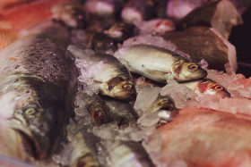 Stock Image: fresh fish on ice from the market
