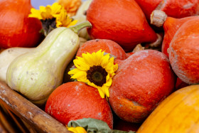 Stock Image: fresh from local market autumn vegetables