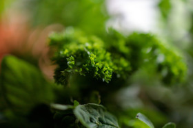 Stock Image: Fresh kitchen herbs