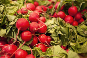Stock Image: fresh red radish from the market background