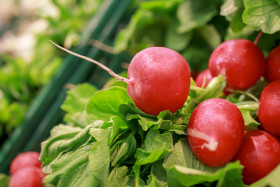Stock Image: fresh red radish from the market background