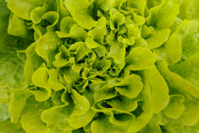 Stock Image: Fresh salad full frame