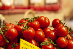 Stock Image: fresh tomatoes in a basket