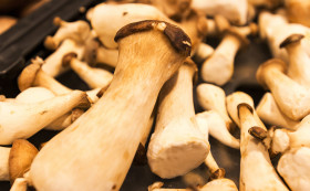 Stock Image: fresh trumpet royale mushrooms