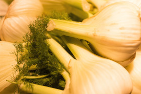Stock Image: Freshly Picked Fennel Vegetables