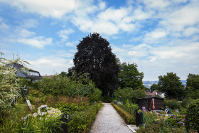 Stock Image: garden settlement in germany