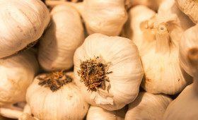 Stock Image: garlic bulbs