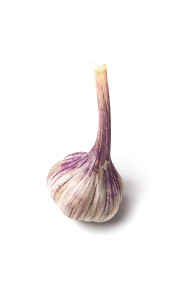Stock Image: garlic white background