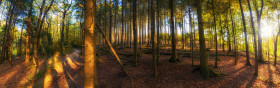 Stock Image: german autumn forest landscape marscheider bachtal in nrw - Super Panorama