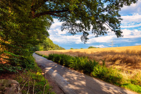 Stock Image: German country road