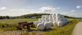 Stock Image: German countryside landscape, Rhine Region - Rural Landscape in Germany