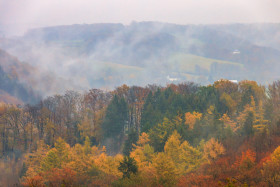 Stock Image: German forest in autumn rain
