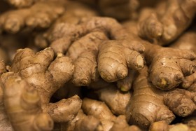 Stock Image: Ginseng ginger roots background