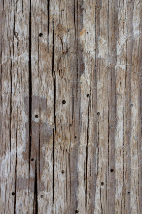 Stock Image: Gray brown wood texture with holes