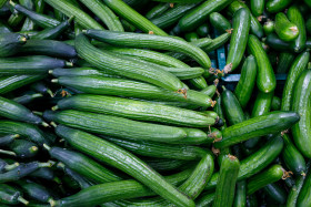 Stock Image: Green cucumber background
