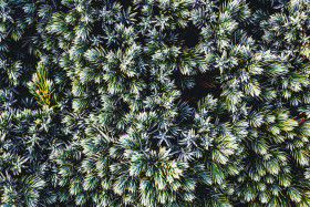 Stock Image: Green nature background