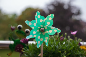 Stock Image: Green pinwheel