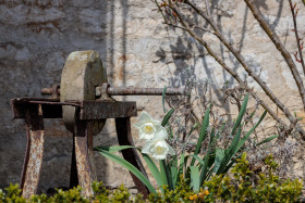 Stock Image: Grindstone