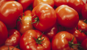 Stock Image: Group of fresh red tomatoes
