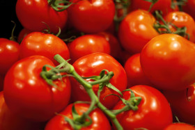 Stock Image: group of fresh tomatoes