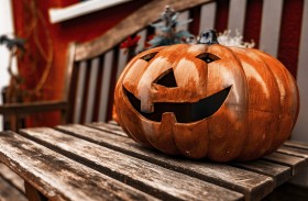 Stock Image: halloween pumpkin autumn decoration