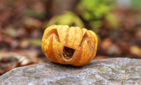 Stock Image: halloween pumpkin on a stone in fall
