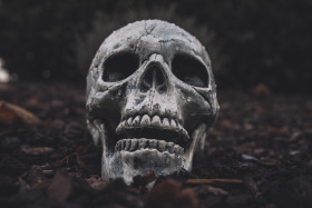 Stock Image: Halloween Skull on the autumn floor
